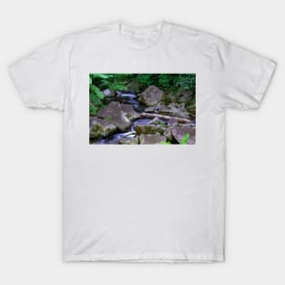 Mambukal Mountain Resort Philippines T-Shirt